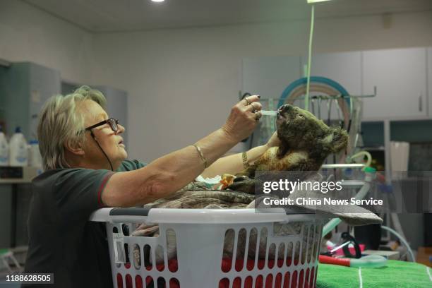 An injured koala receives treatment after its rescue from a bushfire at the Port Macquarie Koala Hospital on November 19, 2019 in Port Macquarie,...