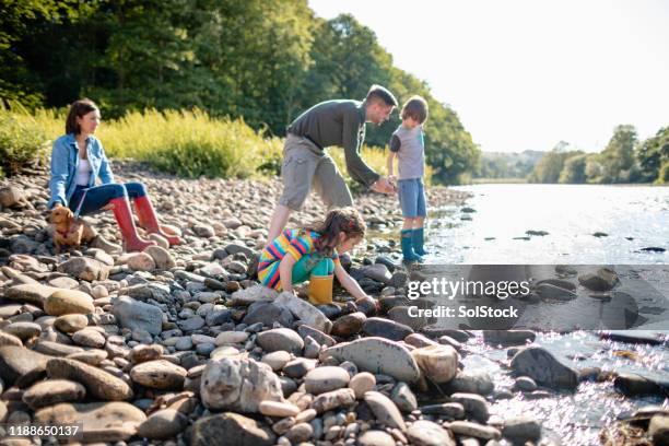 family visiting the river - skimming stones stock pictures, royalty-free photos & images