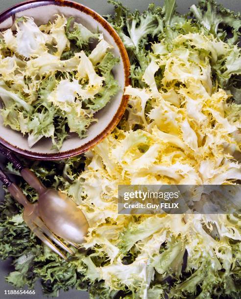 Salade chicorée frisée, France, circa 1980.