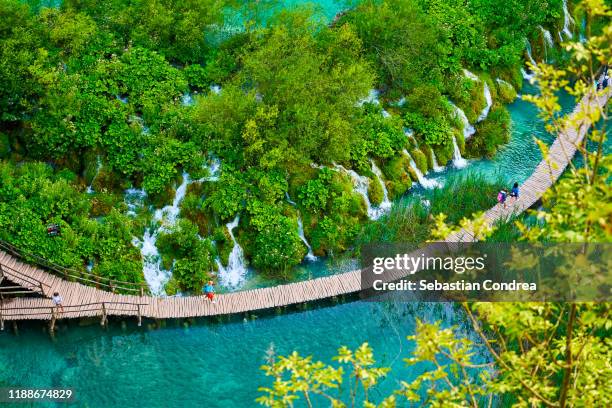 boardwalk in water among trees, plitvice lakes national park, croatia country discovery travel found - nationalpark plitvicer seen stock-fotos und bilder