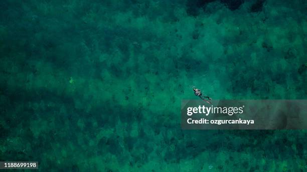 vista aérea de drones: pesca submarina en el mar - spear fotografías e imágenes de stock