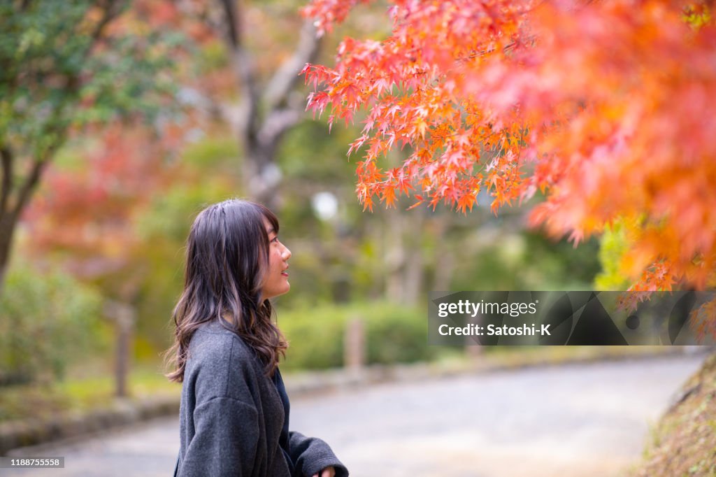 Young woman looking at orange autumn leaves in public park