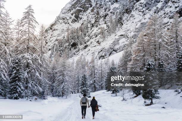 zwei romantische wanderer hand in hand in snowy bedeckt wald - couple mountain stock-fotos und bilder