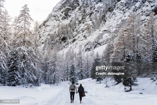 two romantic hikers hand in hand in snowy covered forest - engadin stock pictures, royalty-free photos & images