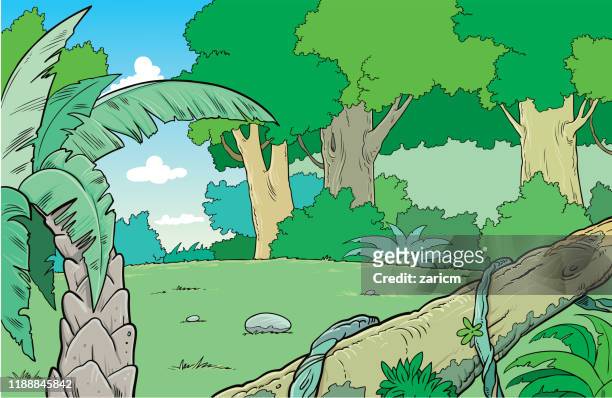Cartoon Jungle Scene High Res Illustrations - Getty Images