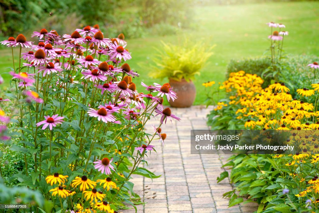 Beautiful summer garden flower border with Echinacea purpurea, Rudbeckia yellow coneflowers