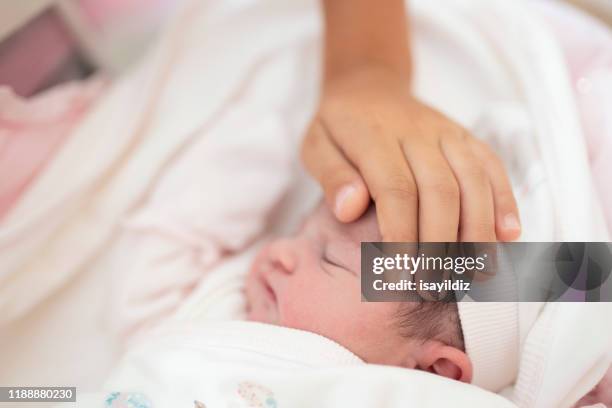 newborn baby and his older brother - baby number 2 stock pictures, royalty-free photos & images