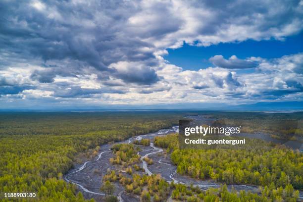 landschaft der halbinsel kamtschatka mit wald und fluss, russland - taiga stock-fotos und bilder