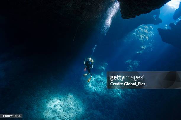 duiker in de blauwe gaten in palau, micronesia - deep sea diving stockfoto's en -beelden