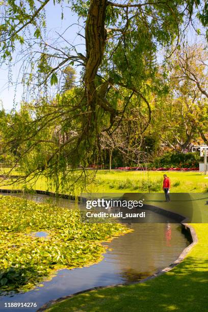 perth city - perth cbd stock pictures, royalty-free photos & images