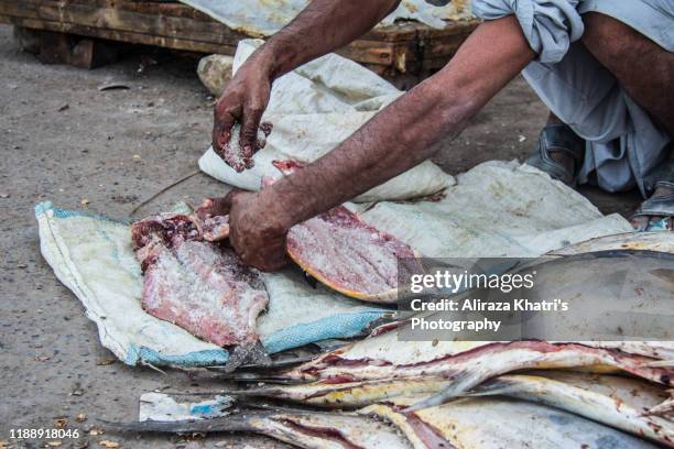 gwadar fish market - gwadar stock-fotos und bilder