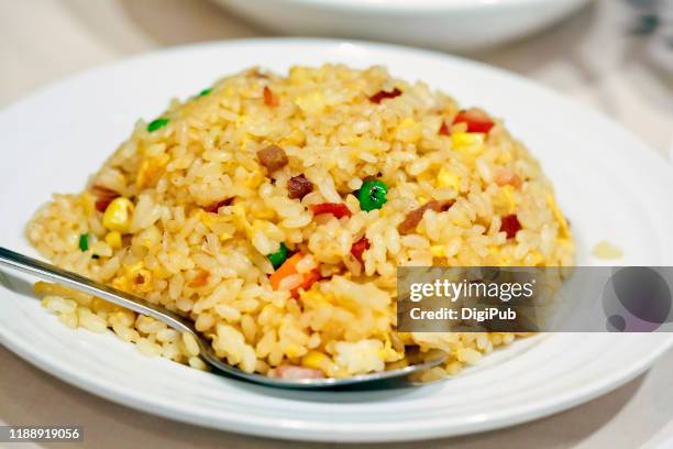 fried rice - gebakken rijst stockfoto's en -beelden