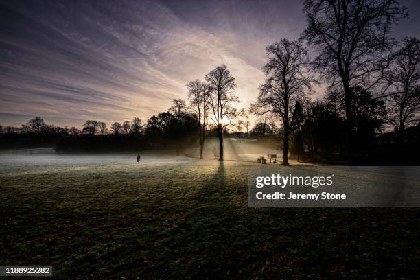sun rising over frosty park - west midlands stock pictures, royalty-free photos & images