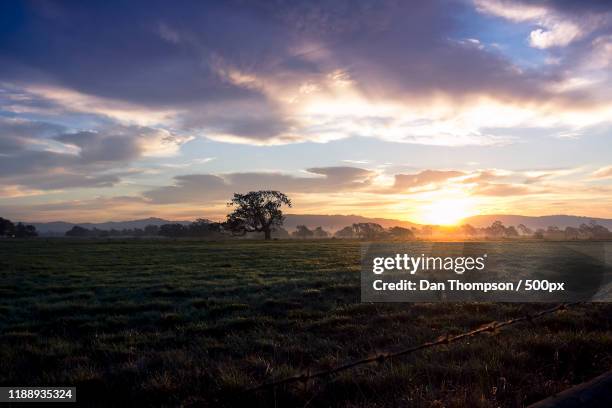 view of sunrise, santa rosa, california, usa - santa rosa stockfoto's en -beelden