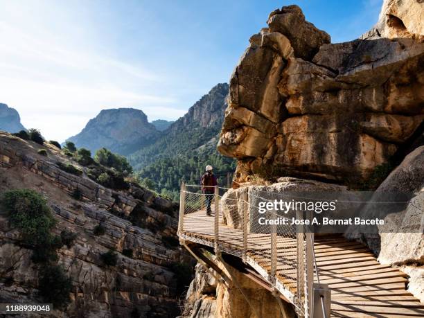 hiker in the nature walking on a wooden footbridge, nailed on the walls of rock in a gorge to great height. caminito del rey (the king walkway). - caminito del rey fotografías e imágenes de stock