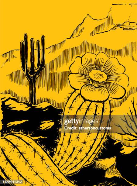 desert ecosystem - cactus flower stock illustrations