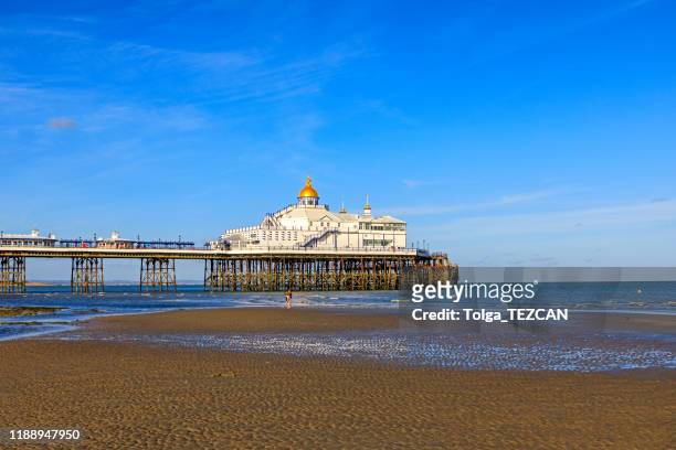 uitzicht vanaf het strand van de pier. eastbourne-uk - eastbourne pier stockfoto's en -beelden