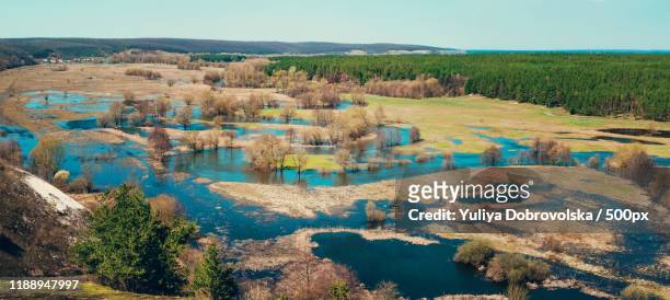 aerial view of lake and wetland novaya tavolzhanka, russia - novaya stock pictures, royalty-free photos & images