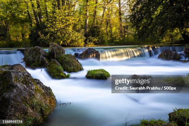 landscape with waterfall on schwabinger bach river in forest, english garden, munich, bavaria, germany - englischer garten stock-fotos und bilder