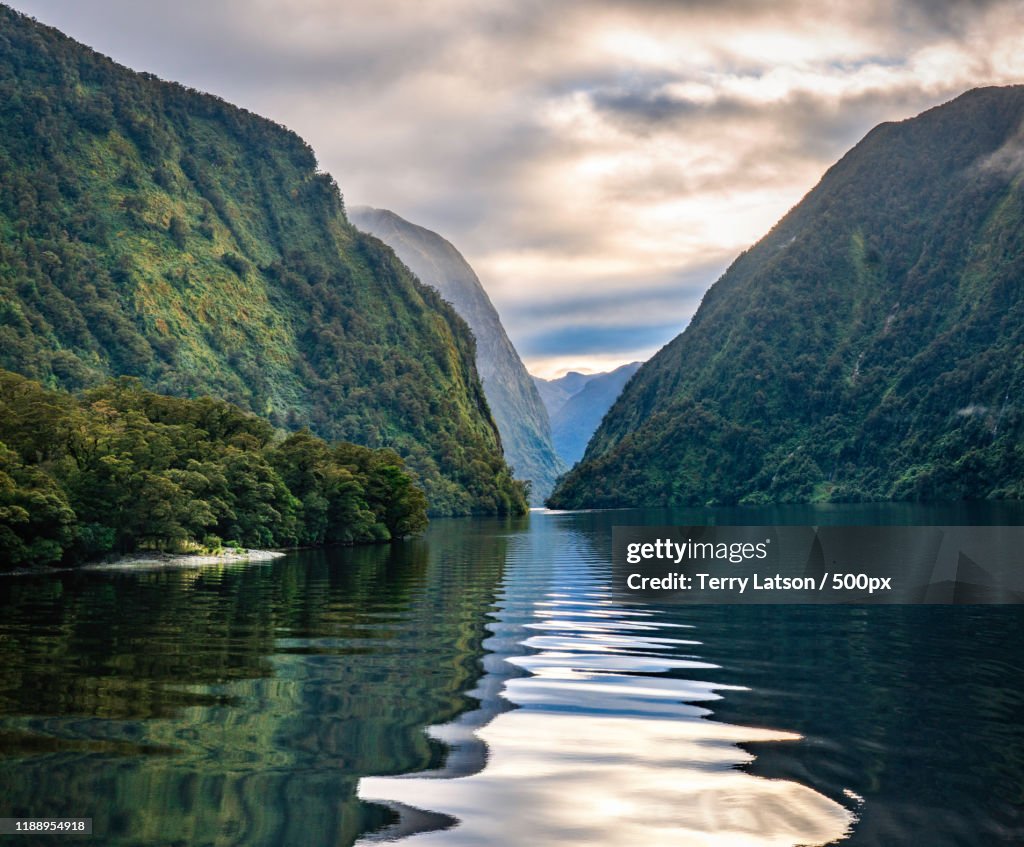 Doubtful Sound fjord, Fiordland, South Island, New Zealand