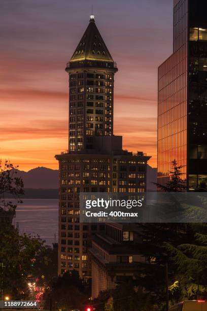 seattle sunset - smith tower bildbanksfoton och bilder