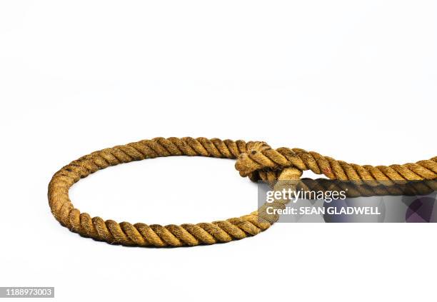 rope noose - lazo cuerda fotografías e imágenes de stock