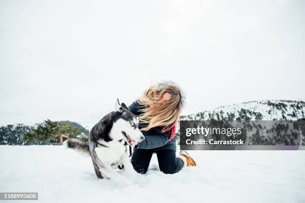 beautiful woman posing in the snow with siberian husky pet. - madrid snow stock pictures, royalty-free photos & images