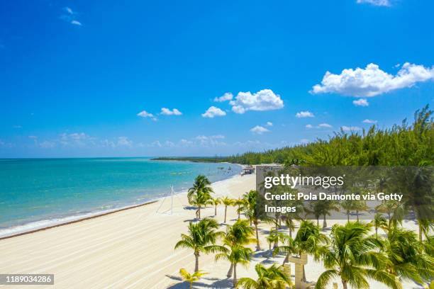 paradise white sand beach scene in the caribbean island of cozumel, mexico - cozumel fotografías e imágenes de stock