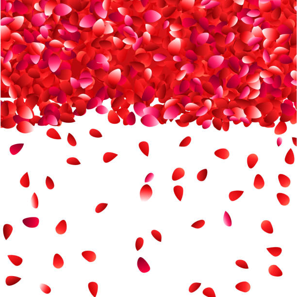 Falling Roses Cartoon 21 Falling Roses High Res Illustrations - Getty Images