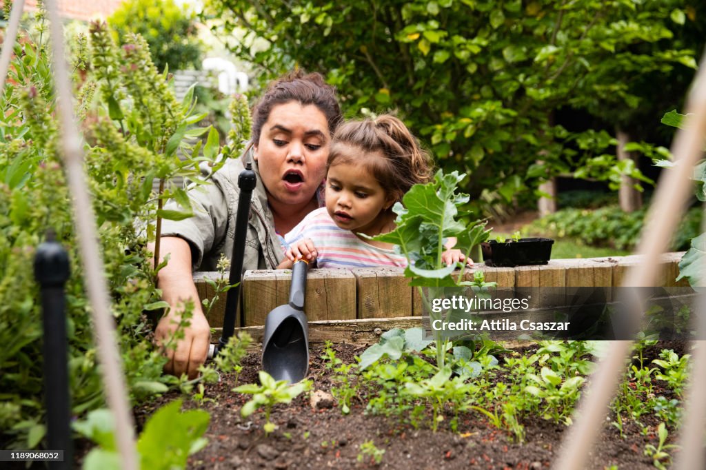 Mother shows her toddler how to plant veggies