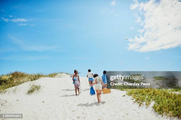 looking for the best picnic spot - beach picnic stock pictures, royalty-free photos & images