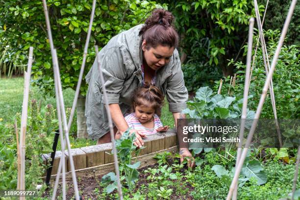 indigenous women helping her young daughter in the garden - cultura aborigen australiana fotografías e imágenes de stock
