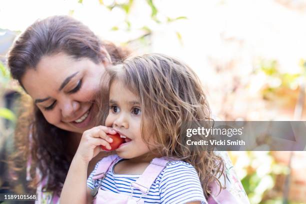 indigenous mother watching her young indigenous child eat a tomato - australian aboriginal children stock-fotos und bilder