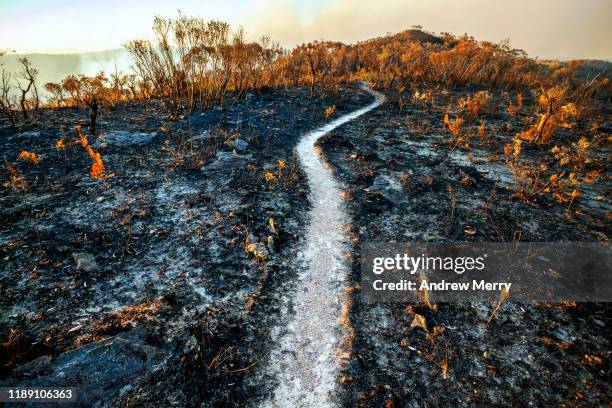 burnt mountain landscape after bushfire, forest fire with hiking track, path in blue mountains, australia - climate resilience stock pictures, royalty-free photos & images