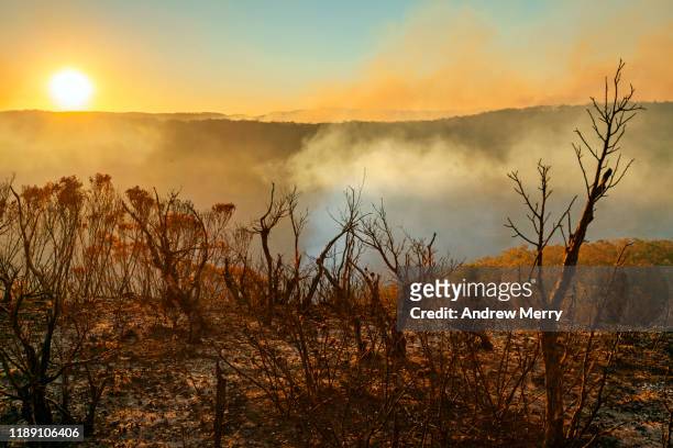 sun setting in burnt smouldering mountain landscape with smoke filled valley after forest fire, bushfire in blue mountains, australia - climate change australia stock pictures, royalty-free photos & images
