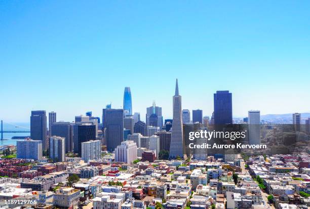 view on san francisco skyline from coit tower - san francisco financial district stock pictures, royalty-free photos & images