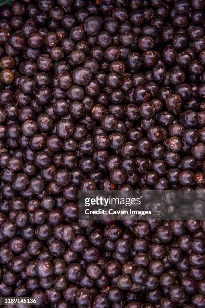 acai berries - kohlpalme stock-fotos und bilder
