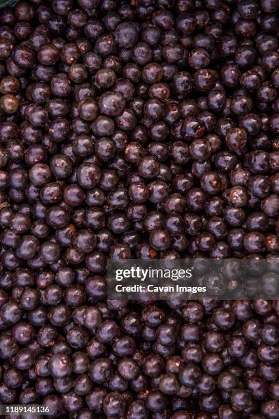 acai berries - acai berries stockfoto's en -beelden