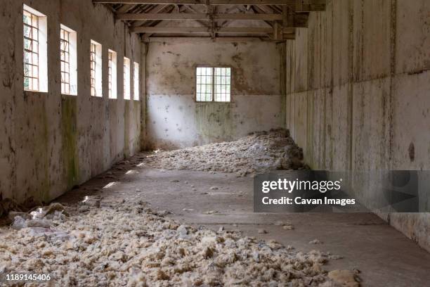 abandoned slaughter warehouse with sheep wool on the floor - destroyed city stock pictures, royalty-free photos & images