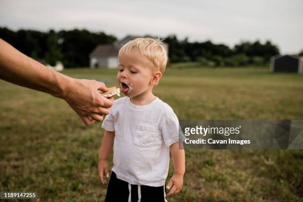 toddler boy opens mouth to eat s'more from dad's hand in backyard - smore stock-fotos und bilder