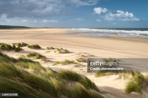 sunny afternoon on the north norfolk coast at holkham beach - caraterísticas da costa imagens e fotografias de stock