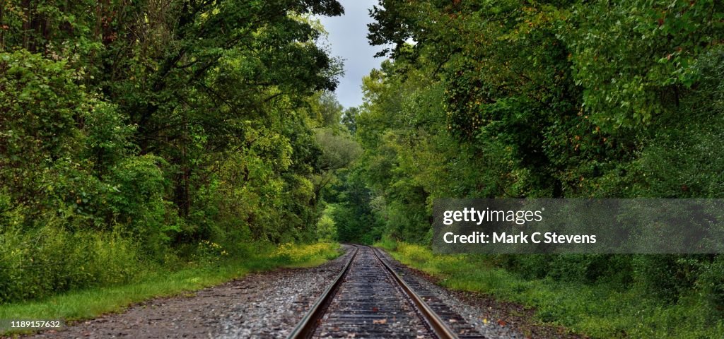The Leading Line of a Railroad