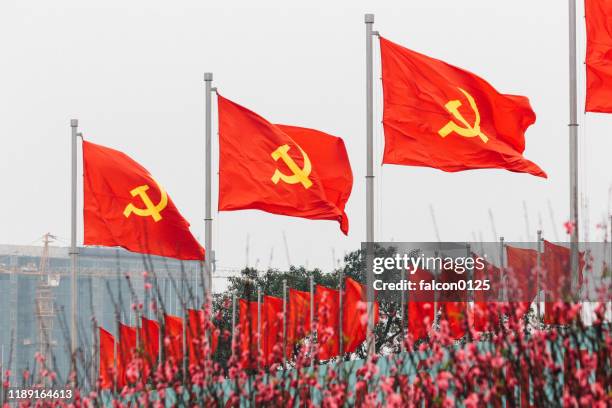 communist flags in vietnam - communist party stock pictures, royalty-free photos & images