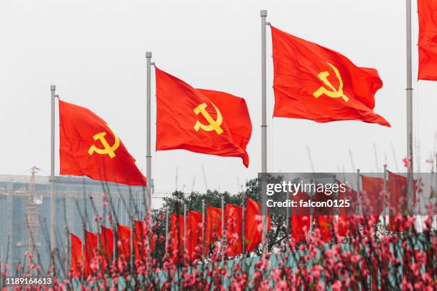 communist flags in vietnam - comunismo imagens e fotografias de stock