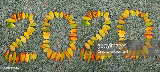 2020 happy new year made of colorful autumn leaves - zero gravity imagens e fotografias de stock