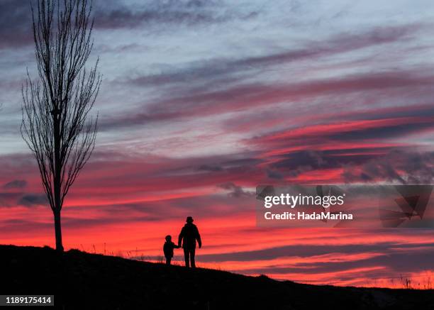 silueta de un abuelo y un nieto - grandfather silhouette stock-fotos und bilder