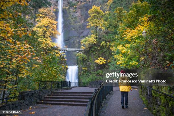 woman visiting multnomah falls in autumn. cascade locks, multnomah county, oregon, us. - columbia gorge ストックフォトと画像