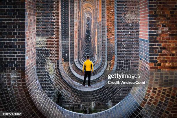 one person admiring the ouse valley viaduct, england - river great ouse foto e immagini stock