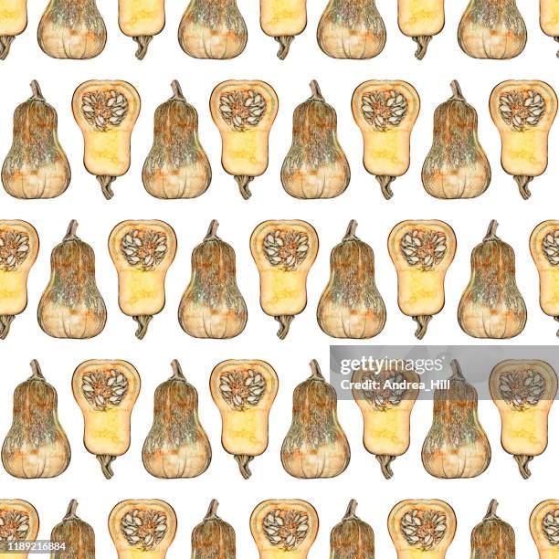 honeynut butternut squash seamless pattern background. vector ink and watercolor drawing. - pumpkin seed stock illustrations
