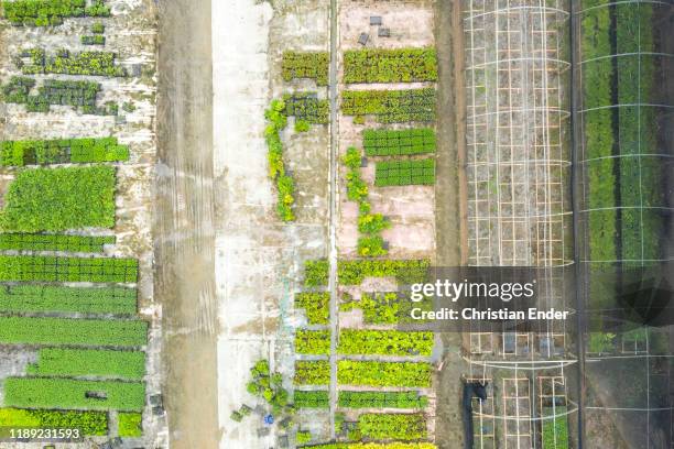 Aerial view of the nursery of the Instituto Terra at the beginning of the raining season on November 21, 2019 in Aimorés, Brazil. Twenty years ago,...